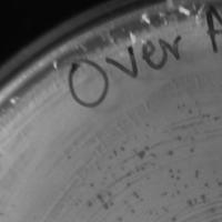 Thumbnail for OverAchiever
