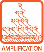 Amplification Icon