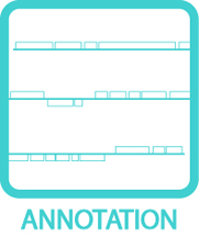 Annotation Icon