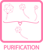 Purification Icon