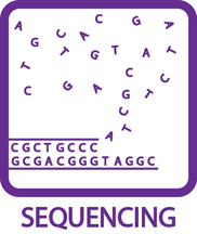 Sequencing Icon