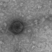 Thumbnail for MyLilSodaPop