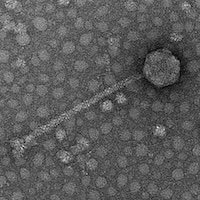 Thumbnail for DarthInvader