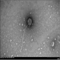 Jet2Holiday EM Picture