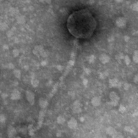 Thumbnail for Eliot67