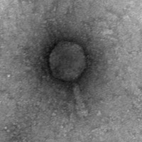 Thumbnail for FatherMarcus