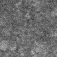 Thumbnail for ImmortalSnail