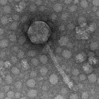 Thumbnail for KennBerry