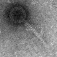 Thumbnail for ReaganArataka