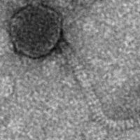 Thumbnail for Rev2213