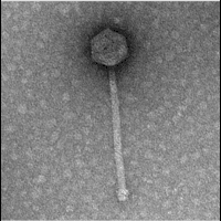 Thumbnail for ConradFisher