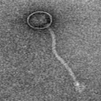 Thumbnail for IKonic25