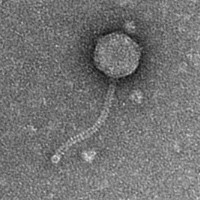 Thumbnail for JimmyXS