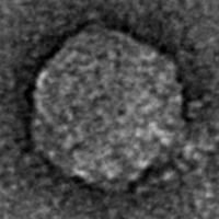 Thumbnail for HandMeDown