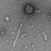 Thumbnail for ManShan