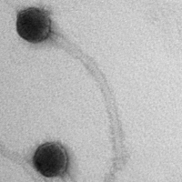 Thumbnail for Underpass