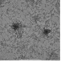 Thumbnail for DwightP