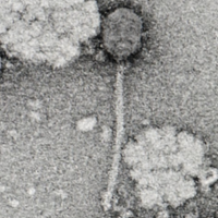 Thumbnail for MySunshine