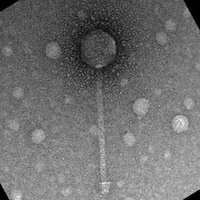 WilliamBobJoe EM Picture