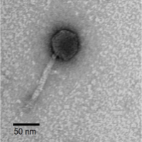 Thumbnail for Lafarge