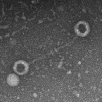 GreatGreta EM Picture