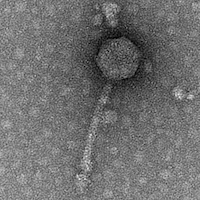 Thumbnail for December