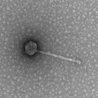 Thumbnail for Wetconcrete