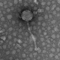 Thumbnail for Norway