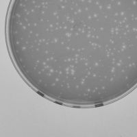 MyLilSodaPop Plaque Picture