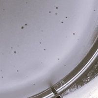 Thumbnail for Panchaali