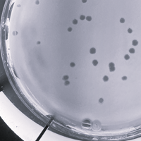 Thumbnail for PrezGreg67