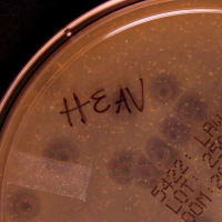 Ashden Plaque Picture