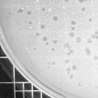 Thumbnail for Baller