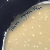 Blueprint Plaque Picture