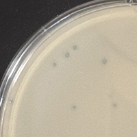 CardboardBox Plaque Picture