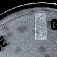 Chip100 Plaque Picture