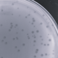 Thumbnail for EpicSnackTime