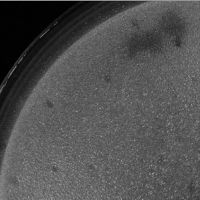 Equate Plaque Picture