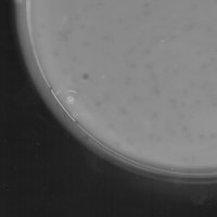 Hemma Plaque Picture