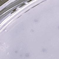 Henrugaza Plaque Picture