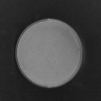 Honeyjuice Plaque Picture