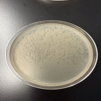 Park1214 Plaque Picture