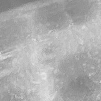 ImmortalSnail Plaque Picture