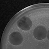 KennBerry Plaque Picture