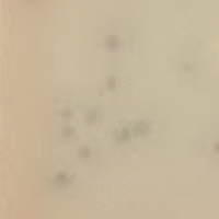 Laphuphu24k Plaque Picture