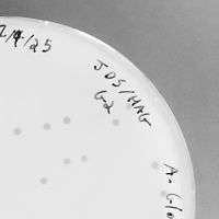 Mapleville Plaque Picture