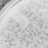 MyleKika Plaque Picture