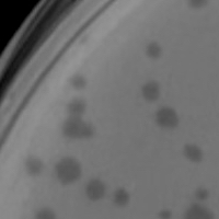 Nandito Plaque Picture