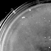 NiteNDay Plaque Picture