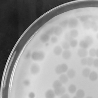 OliverWinston Plaque Picture